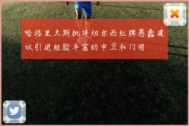 哈格里夫斯批评切尔西红牌愚蠢建议引进经验丰富的中卫和门将
